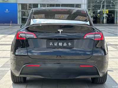 2024 Tesla Model Y Rear-Wheel Drive Version, фото 4, лот 10666663