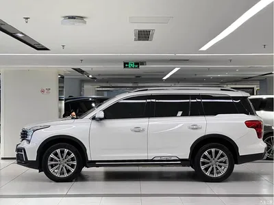 2020 GAC Trumpchi Trumpchi GS8 Model 390T FWD Luxury Smart Connect (7-seater), фото 4, лот 11016549