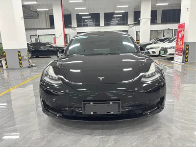 2020 Tesla Model 3 Standard Range Rear-Wheel Drive Upgrade, фото 2, лот 10955201