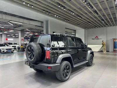2023 Tank 300 Off-Road Edition 2.0T Challenger, фото 3, лот 10434834