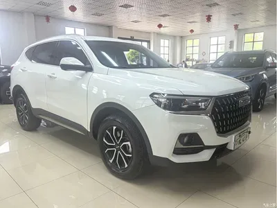 2023 Haval H6 National Trend Edition 1.5T Automatic Urban, фото 3, лот 10283520