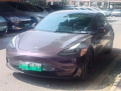 2023 Tesla Model 3 Rear-Wheel Drive, фото 1, лот 11138763