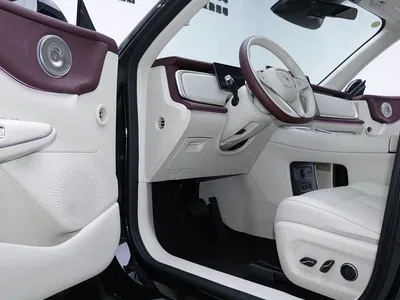 2025 Voyah Auto Voyah Zhiyin Base, фото 4, лот 11169728