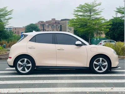 2021 Ora Good Cat 400km Standard Range Athena Edition (LFP), фото 4, лот 10481474