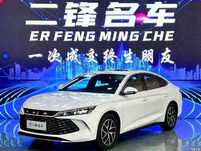 2024 BYD Qin L DM-i 120KM Leading, фото 1, лот 11240908