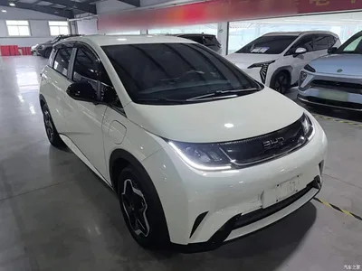 2025 BYD Dolphin 420km Vitality Edition, фото 4, лот 10260278