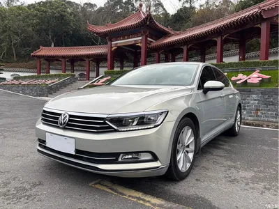 2019 Volkswagen Magotan 330TSI DSG Leading China VI, фото 1, лот 11438083
