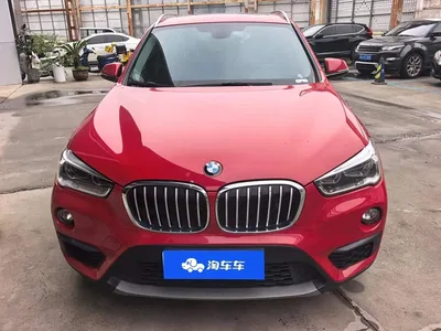 2019 BMW X1 sDrive20Li Leading Model, фото 3, лот 11201769