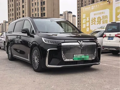 2025 Voyah Auto Voyah Dreamer PHEV AWD Excellent Kunpeng Edition, фото 3, лот 10764074