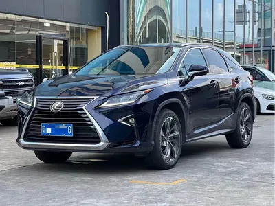 2016 Lexus RX 300 4WD Elegance Edition China VI, фото 1, лот 11242429