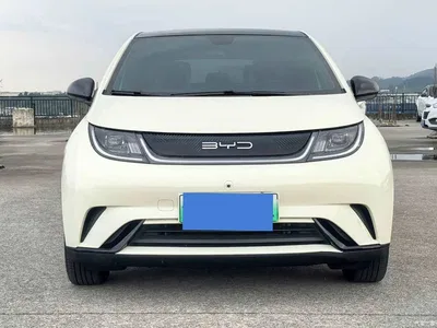 2021 BYD Dolphin Model 405km Fashion Edition, фото 2, лот 11140944