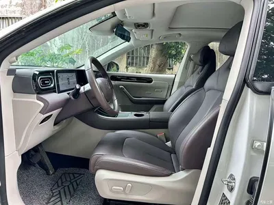 2023 Leapmotor C11 Pure Electric 500 Smart Edition, фото 4, лот 10445059