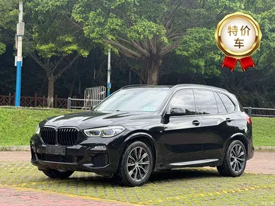 2019 BMW X5 (Import) xDrive40i M Sport Package, фото 1, лот 10303029