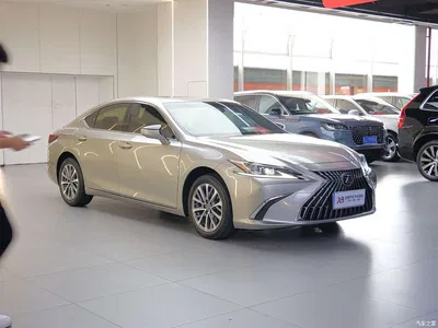 2021 Lexus ES 200 Excellence Edition, фото 3, лот 10312746