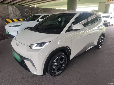 2024 BYD Seagull Glory Edition 305km Freedom Edition, фото 1, лот 10269747