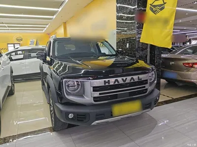 2024 Haval Big Dog 1.5T DCT Border Collie Edition, фото 4, лот 10361494