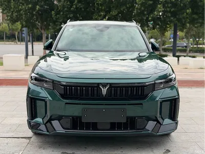 2025 Voyah Auto VOYAH FREE 318 318km RWD Touring Edition, фото 3, лот 11227790