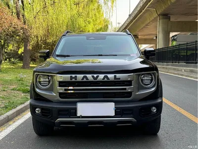 2024 Haval Big Dog 1.5T DCT Border Collie Edition, фото 2, лот 10361523