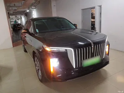 2021 Hongqi E-HS9 460km Flagship Comfort 6-seater, фото 4, лот 10304314
