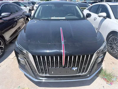 2024 Hongqi H5 1.5T DCT Smart Connect Flag Rhythm Edition, фото 2, лот 10288533