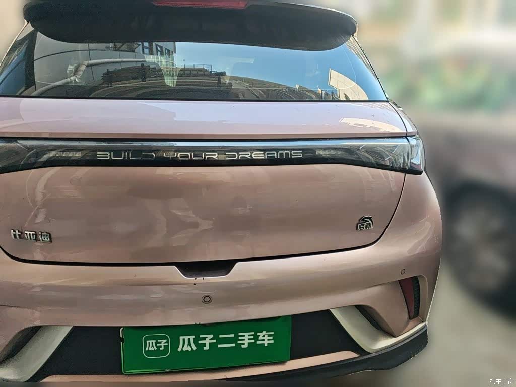 2021 BYD Dolphin 401km Knight Edition, фото 4, лот 11205401