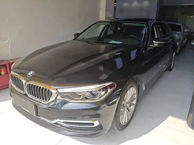 2020 BMW 5 Series 530Li Leading Luxury Package, фото 2, лот 11225887