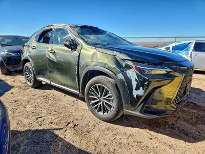 2024 LEXUS NX 350 BASE, фото 4, лот 10849592