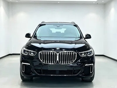 2022 BMW X5 Model xDrive 40Li M Sport Package, фото 2, лот 11187644