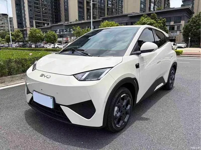 2025 BYD Seagull Smart Drive Edition 305km Freedom Version, фото 1, лот 10246510
