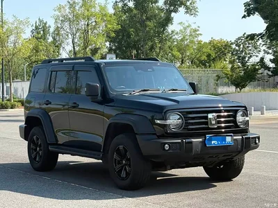 2021 Tank 300 Off-road Version 2.0T Conqueror, фото 3, лот 10345064