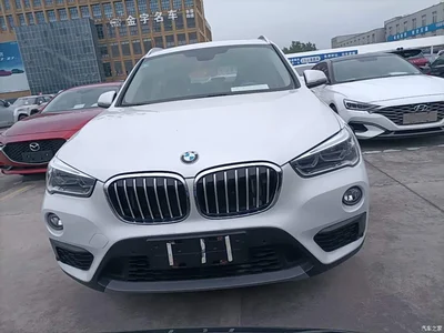 2019 BMW X1 sDrive20Li Leading Model, фото 3, лот 10467478