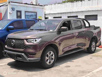 2021 Great Wall Pao 2.0T Commercial Edition Automatic Diesel 4WD Elite Long Box GW4D20M, фото 1, лот 10245693