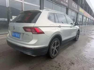2019 Volkswagen Tiguan L 380TSI Auto 4WD Smart Luxury Edition China VI, фото 3, лот 10461850