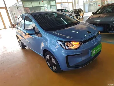 2023 Sehol Flower Fairy 301km Four-leaf Clover 36kW, фото 4, лот 11153433