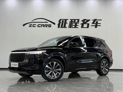 2021 Li Auto Li ONE Extended Range 6-Seater, фото 1, лот 10824571