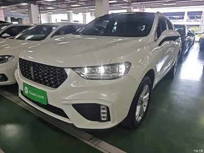 2020 WEY VV5 1.5T 2WD Style Pioneer, фото 2, лот 10452292