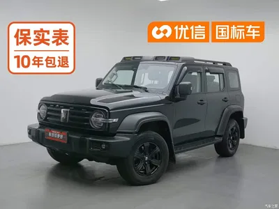 2023 Tank 300 Off-Road Edition 2.0T Challenger, фото 1, лот 10690215
