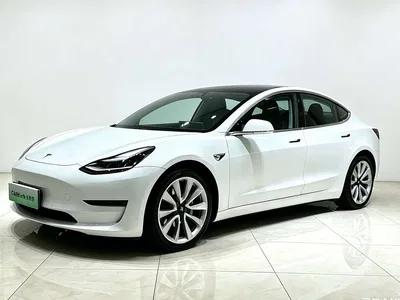2019 Tesla Model 3 (Import) Long Range RWD Version, фото 1, лот 10434650