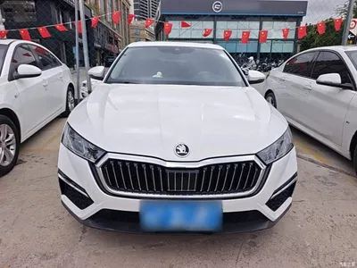 2021 Škoda Octavia PRO TSI280 DSG Premium Edition, фото 3, лот 11502190