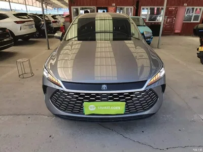 2025 BYD Qin PLUS DM-i Smart Drive 55KM Leader, фото 3, лот 11074146