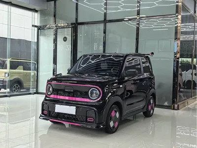 2025 Geely Galaxy Panda Model Year 210km Panda Kart, фото 1, лот 10688992