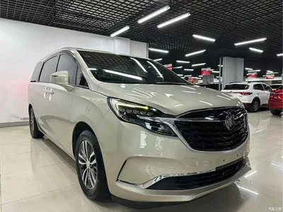 2021 Buick GL8 ES Landlord 653T Premium, фото 3, лот 10250150