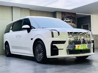 2022 ZEEKR 009 WE Edition, фото 3, лот 10570825
