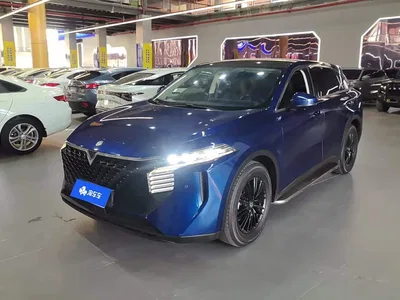 2021 Venucia Big V 260T Idol Edition, фото 1, лот 11146508