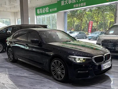2018 BMW 5 Series 530Li Leading M Sport Package, фото 3, лот 11243619
