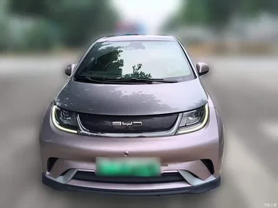 2021 BYD Dolphin 401km Knight Edition, фото 3, лот 11438127