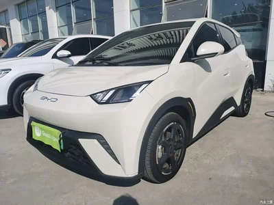 2024 BYD Seagull Glory Edition 305km Freedom Edition, фото 1, лот 10593449