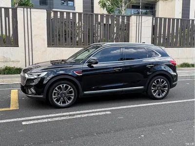 2019 Hongqi HS5 2.0T Smart Connect Enjoy 4WD Edition, фото 3, лот 10415727