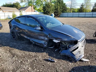2026 TESLA MODEL Y, фото 4, лот 10971361
