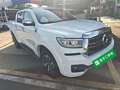 2023 Great Wall Pao 2.0T Passenger Automatic Diesel 4WD Sport GW4D20M, фото 4, лот 10246314
